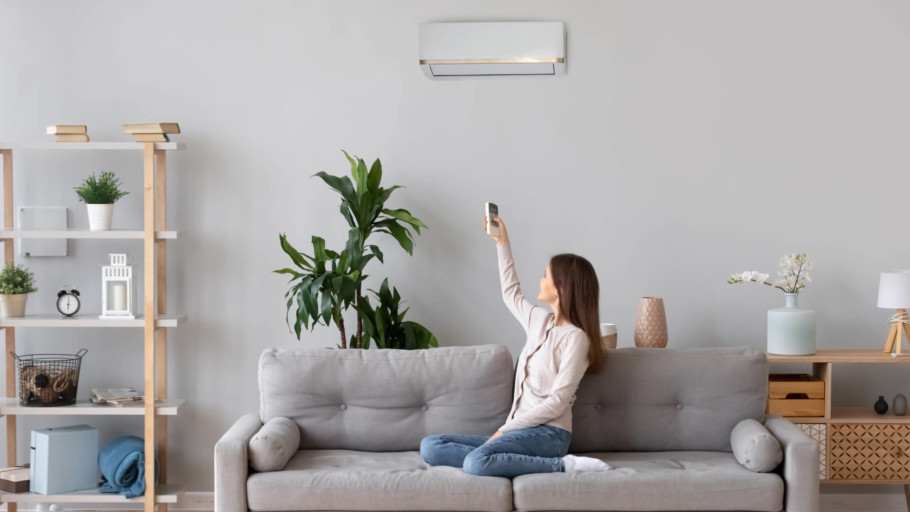 The Best Whole House Air Purifiers