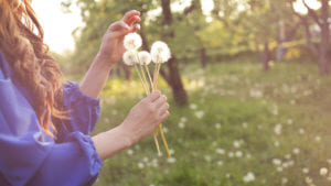 best humidifiers for allergies