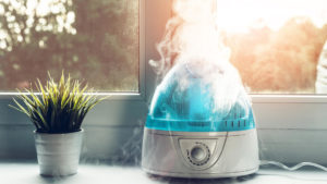 The Risks of Using a Humidifier – What You Need to Know