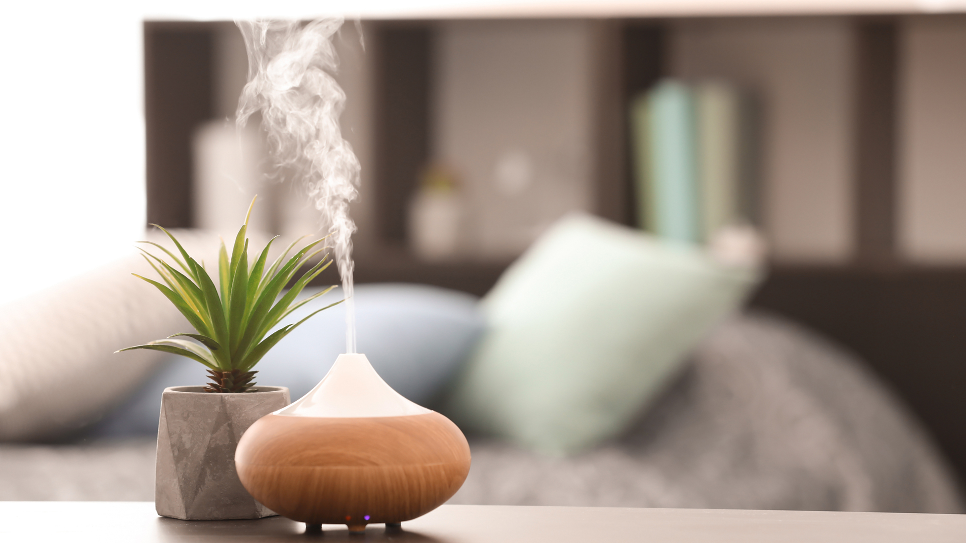 Usage Environment Things to Consider When Buying a Humidifier