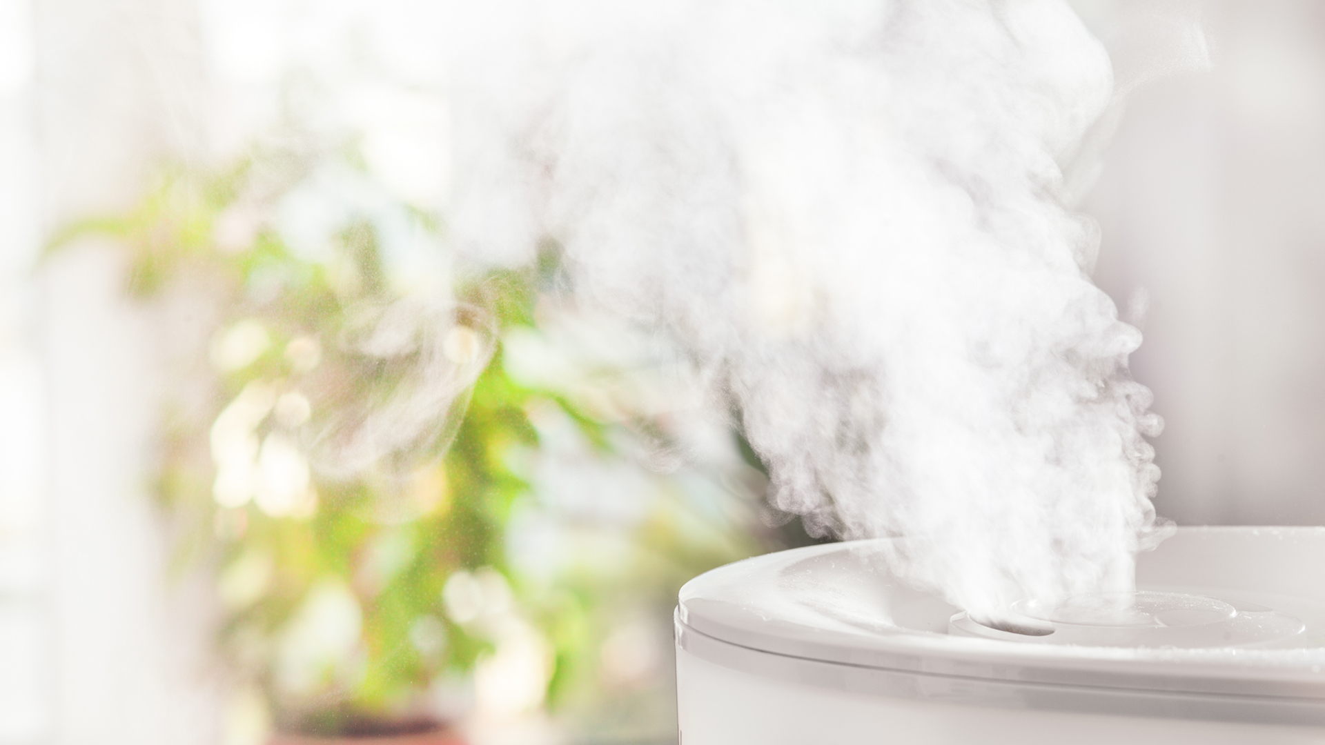 Features Things to Consider When Buying a Humidifier