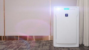 Air Purifier or Ionizer – What’s the Difference?