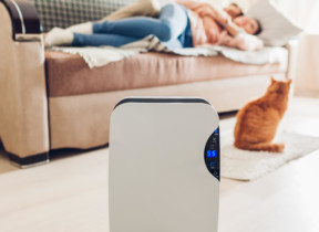 The Best Air Purifiers To Keep You & Your Family Healthy