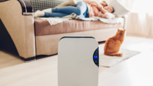The Best Air Purifiers To Keep You & Your Family Healthy