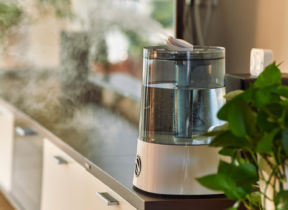 10 Things to Consider When Buying a Humidifier