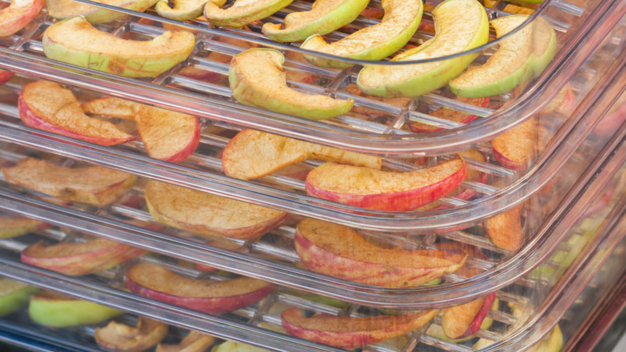 Maximize Your Kitchen’s Potential with These Food Dehydrators