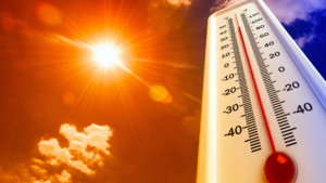 Best Indoor-Outdoor Thermometers